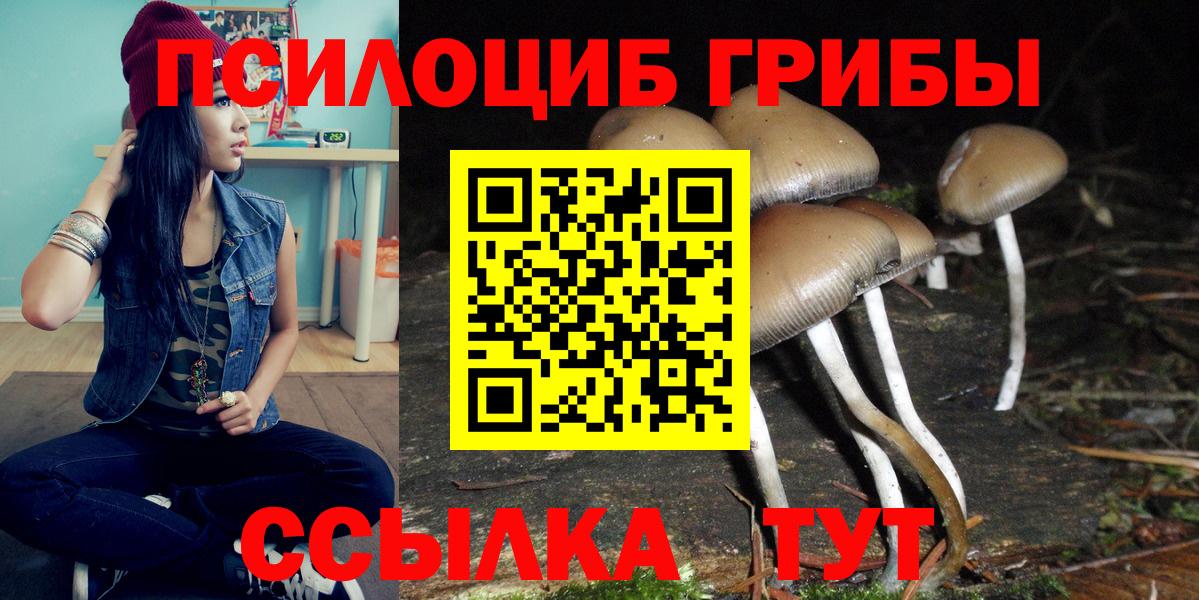 Новый Уренгой  Галлюциногенные грибы Psilocybine cubensis  Вход с VPN 